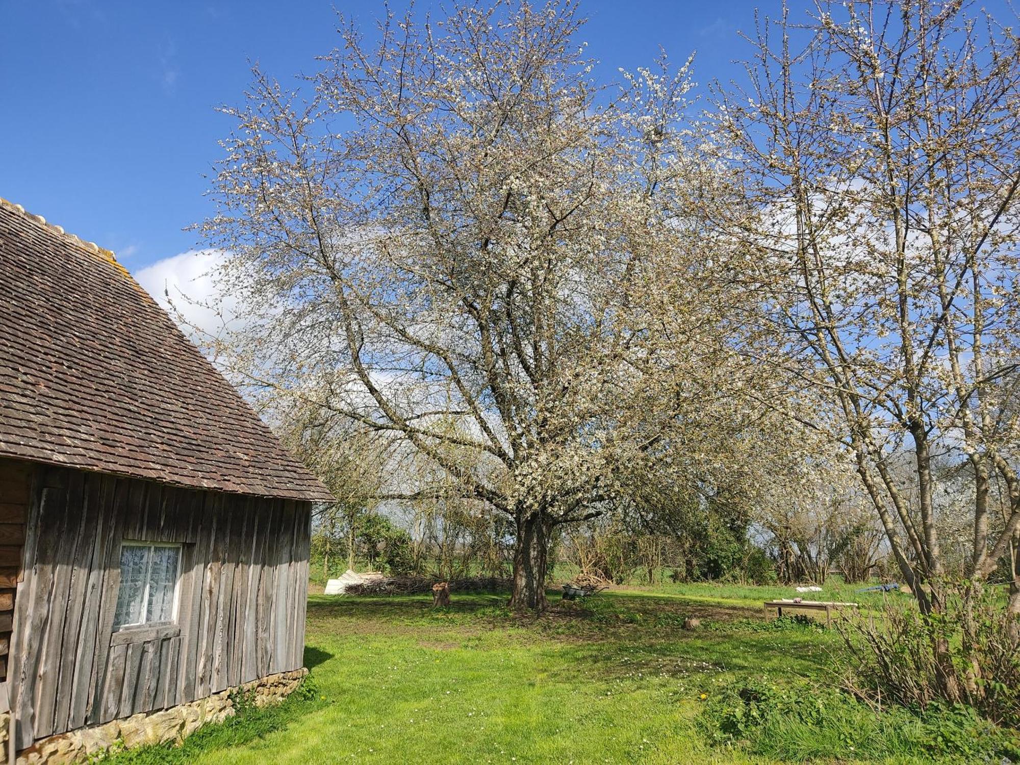 Bed and Breakfast La Valise A Cheval Mezieres-sur-Ponthouin Экстерьер фото